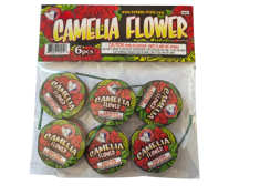 6901 Camelia Flowers