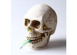 Skull Fountain Firework