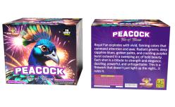PEACOCK FAN OF FLAMES