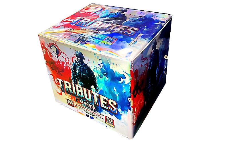 21 Shot TRIBUTES multi shot aerial firework
